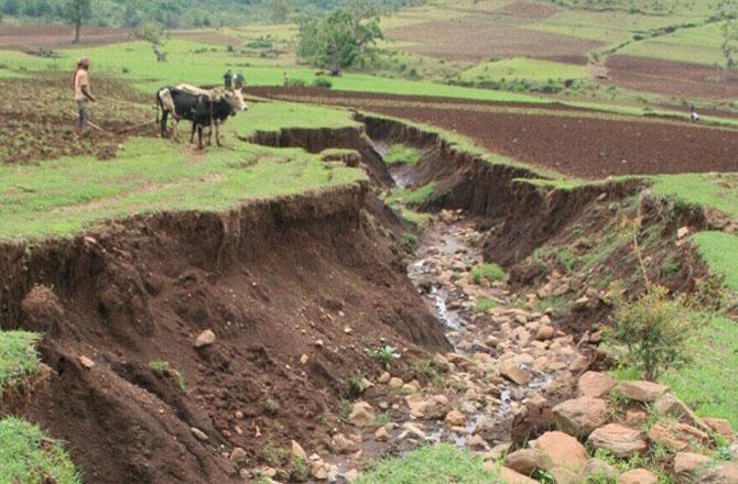 ہندوستان کے ۷۷؍ اضلاع کی زمین کو`گلی کٹاؤ کا سامنا: رپورٹ