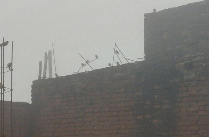 Streams are visible on the roof walls in the thick fog. Photo: INN