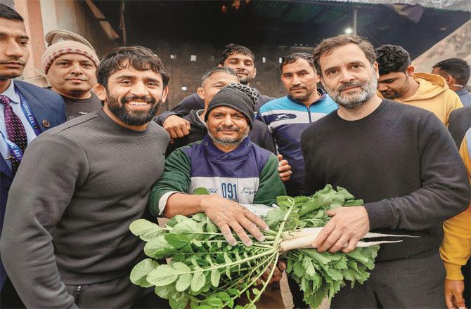 While leaving, the wrestlers offered fresh radishes to Rahul Gandhi. (PTI)