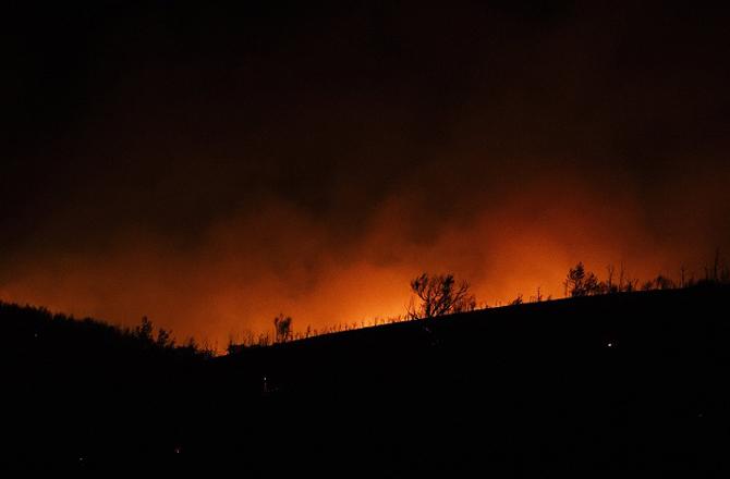 Fires can be seen in the forests of Greece. Photo: PTI