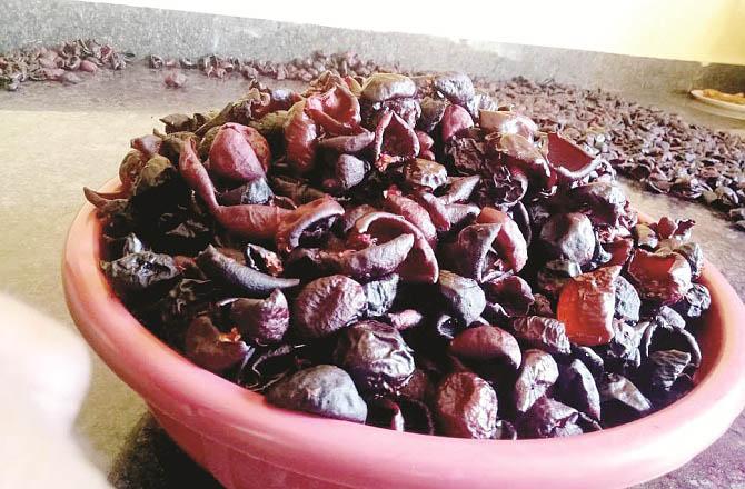 Regular consumption of kokum reduces the risk of heart diseases and cancer. Photo: INN