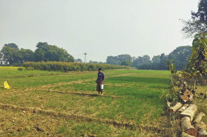 As soon as the sun comes out in winter, the activities of the farmers increase. Photo: INN