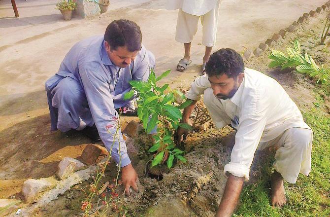 Promote tree planting, it is part of Islamic education and through this the environment can be protected. Photo: INN