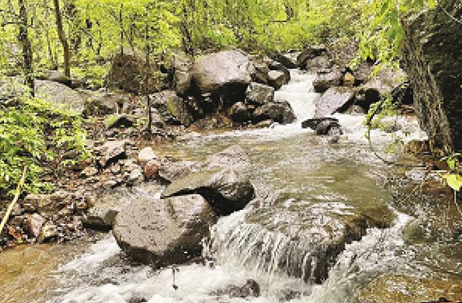 The water of the waterfall can be seen passing through different areas. Photo: INN.