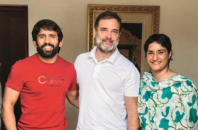 Vinesh Phogat, Rahul Gandhi and Bajrang Punia. Photo: INN