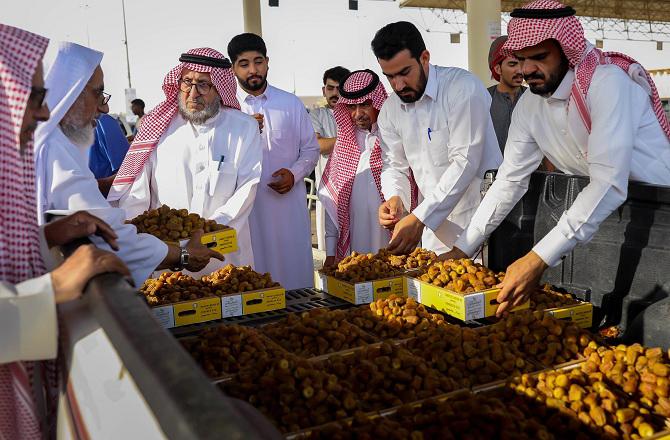 Saudi officials inspecting dates. Photo: INN.