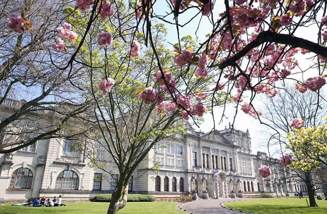 Cardiff University. Photo: X